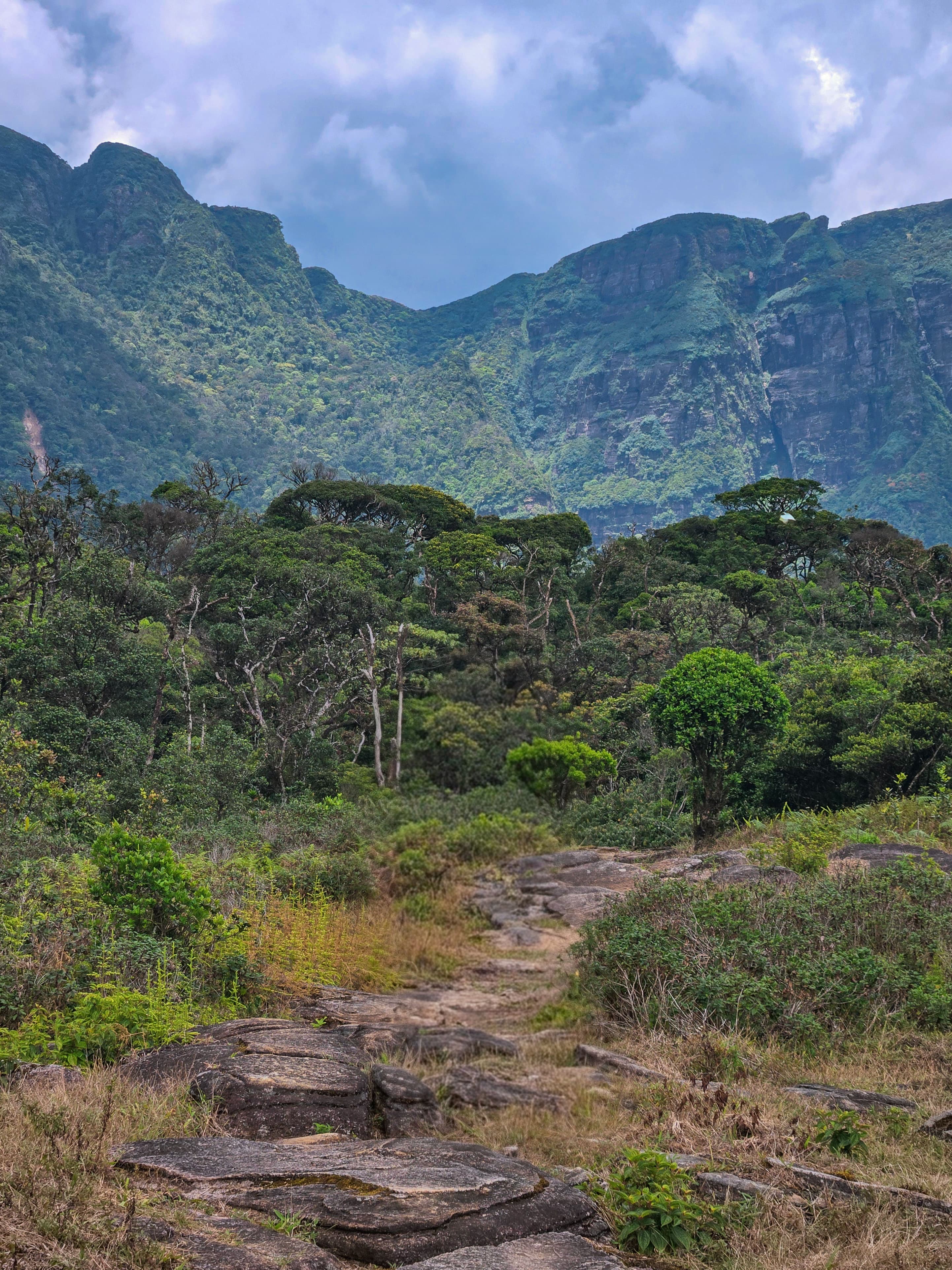 Knuckles Mountain Trail (Five Peaks) – photo 5