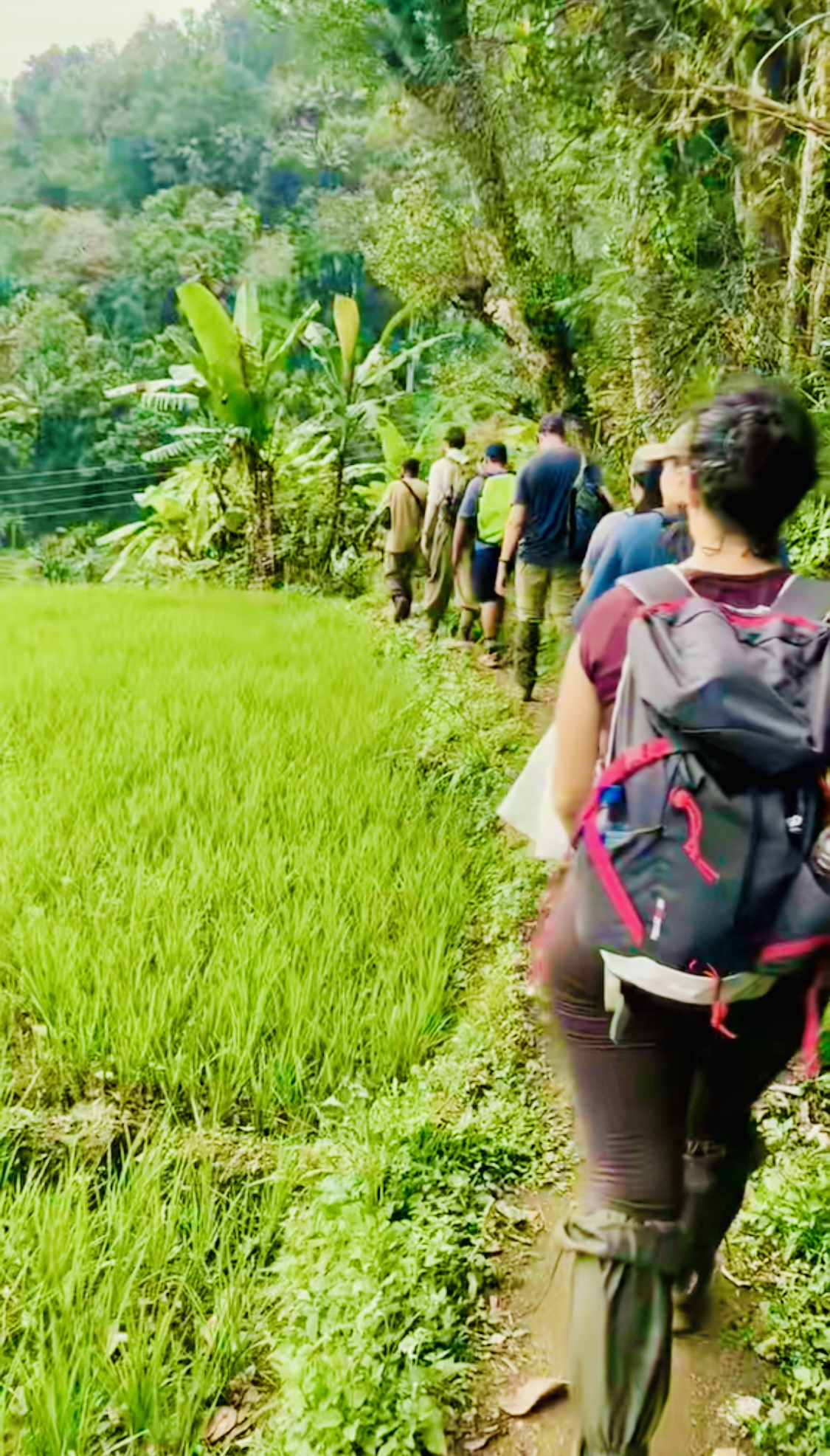 Heeloya traditional village and waterfall - Sri Lanka Trekking
