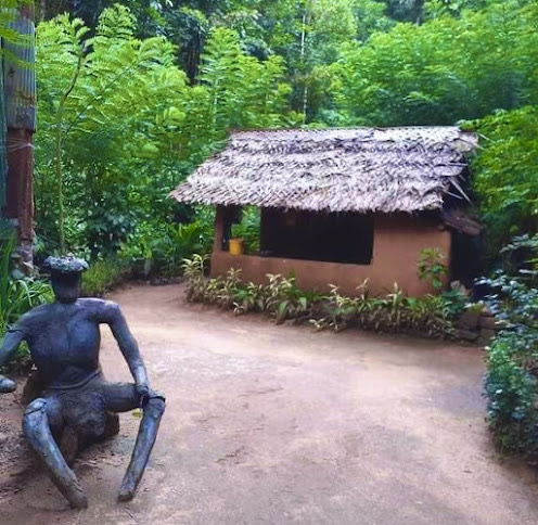 Traditional Narampanawa Village Tour – photo 1