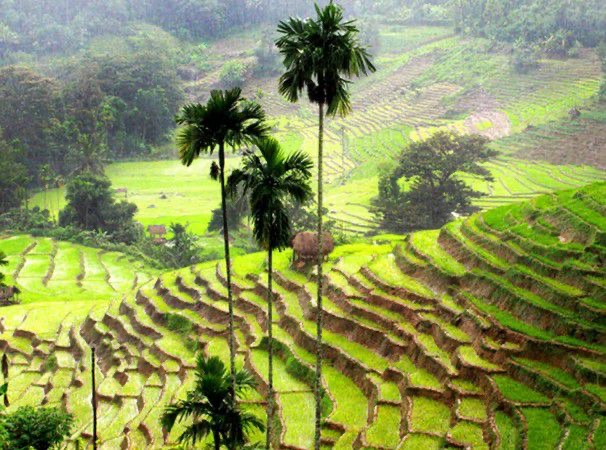 Heeloya Traditional Village Tour