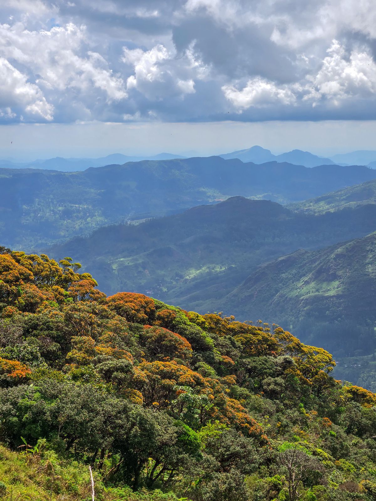 Sri Lanka trekking gallery image 11