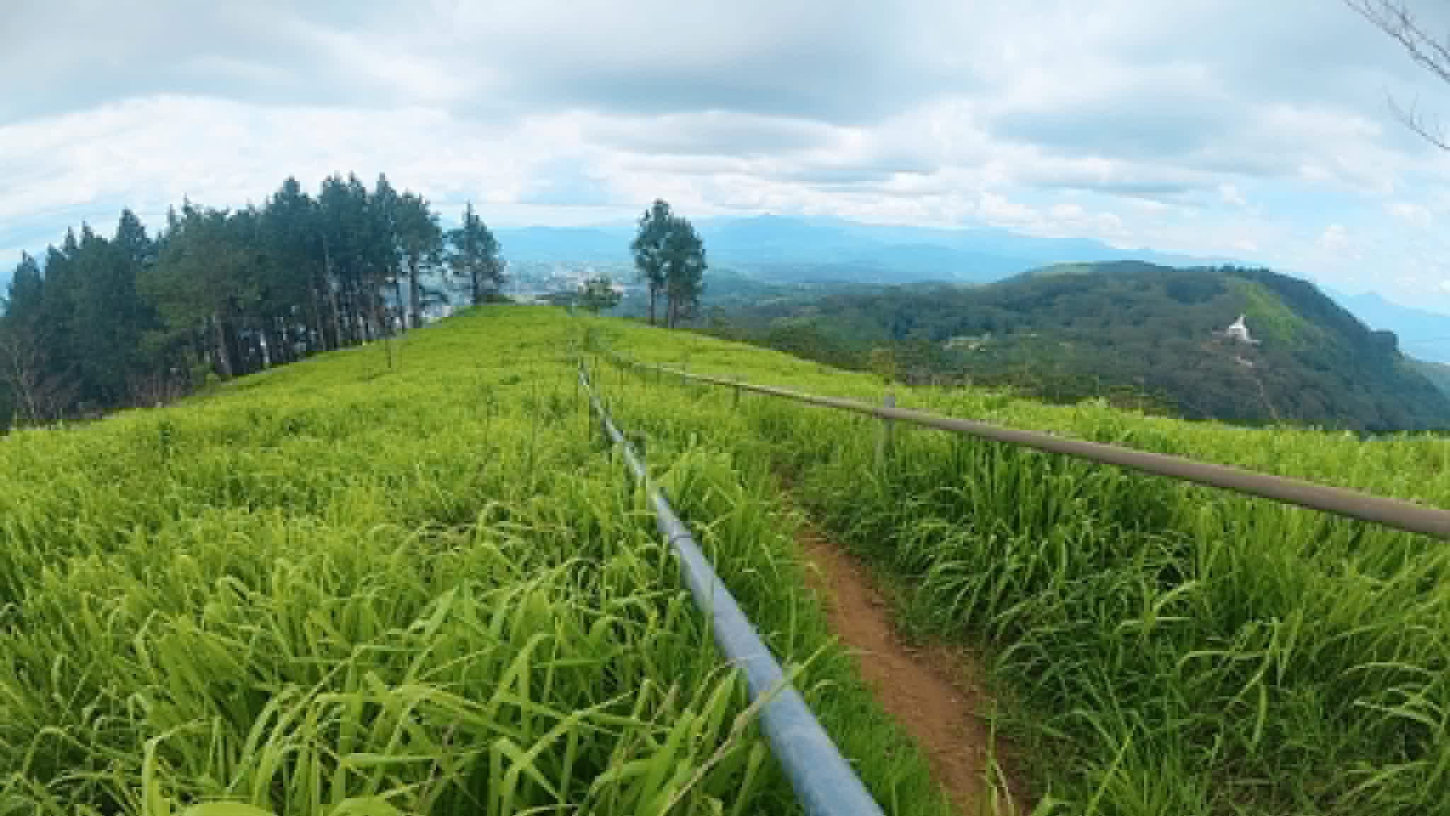 Hanthana Mountain Range – photo 1