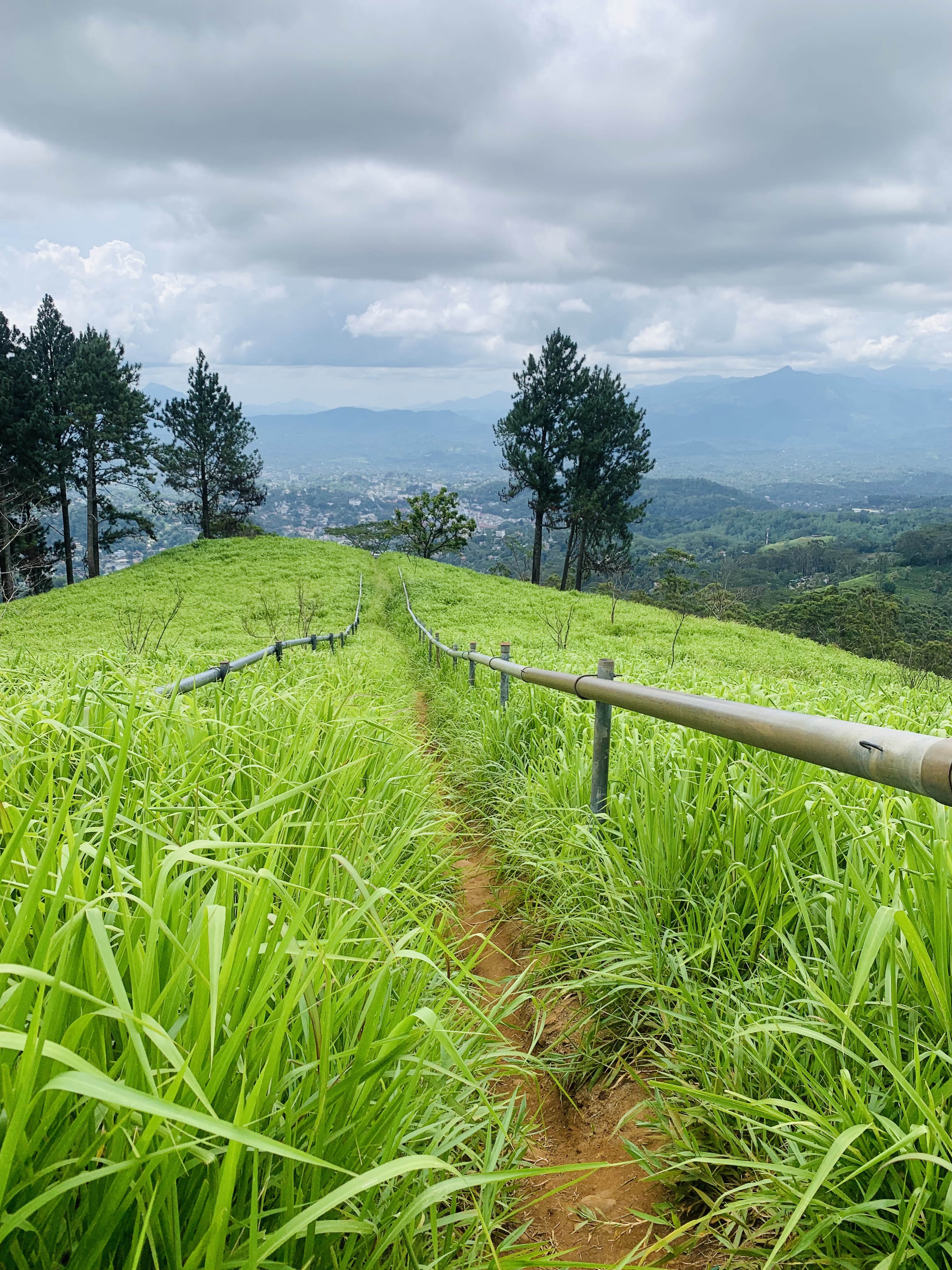 Hanthana Mountain Range – photo 2