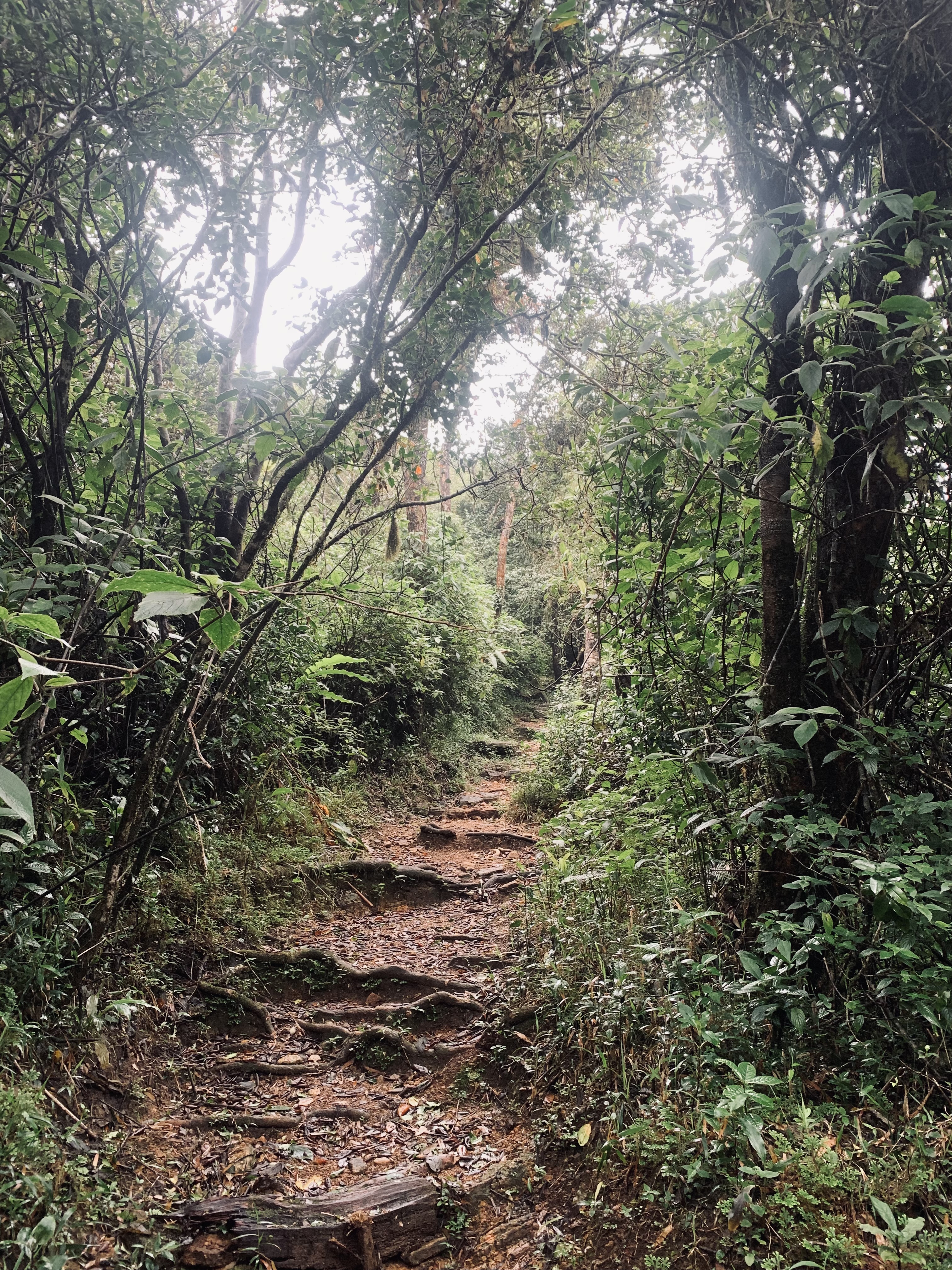 Kotaganga Waterfalls Chain – photo 6