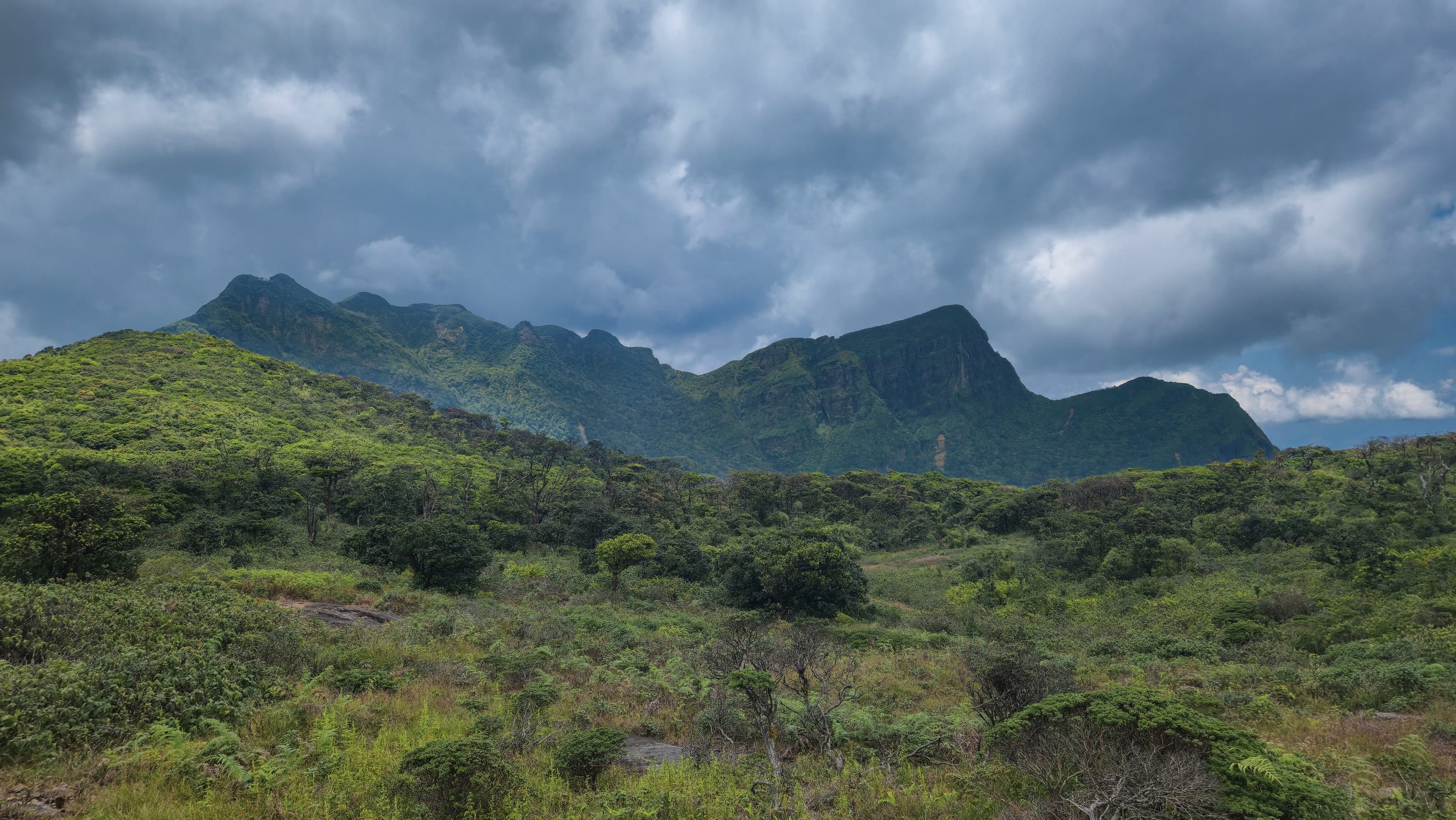 Knuckles Five Peak Mountain trail – photo 1