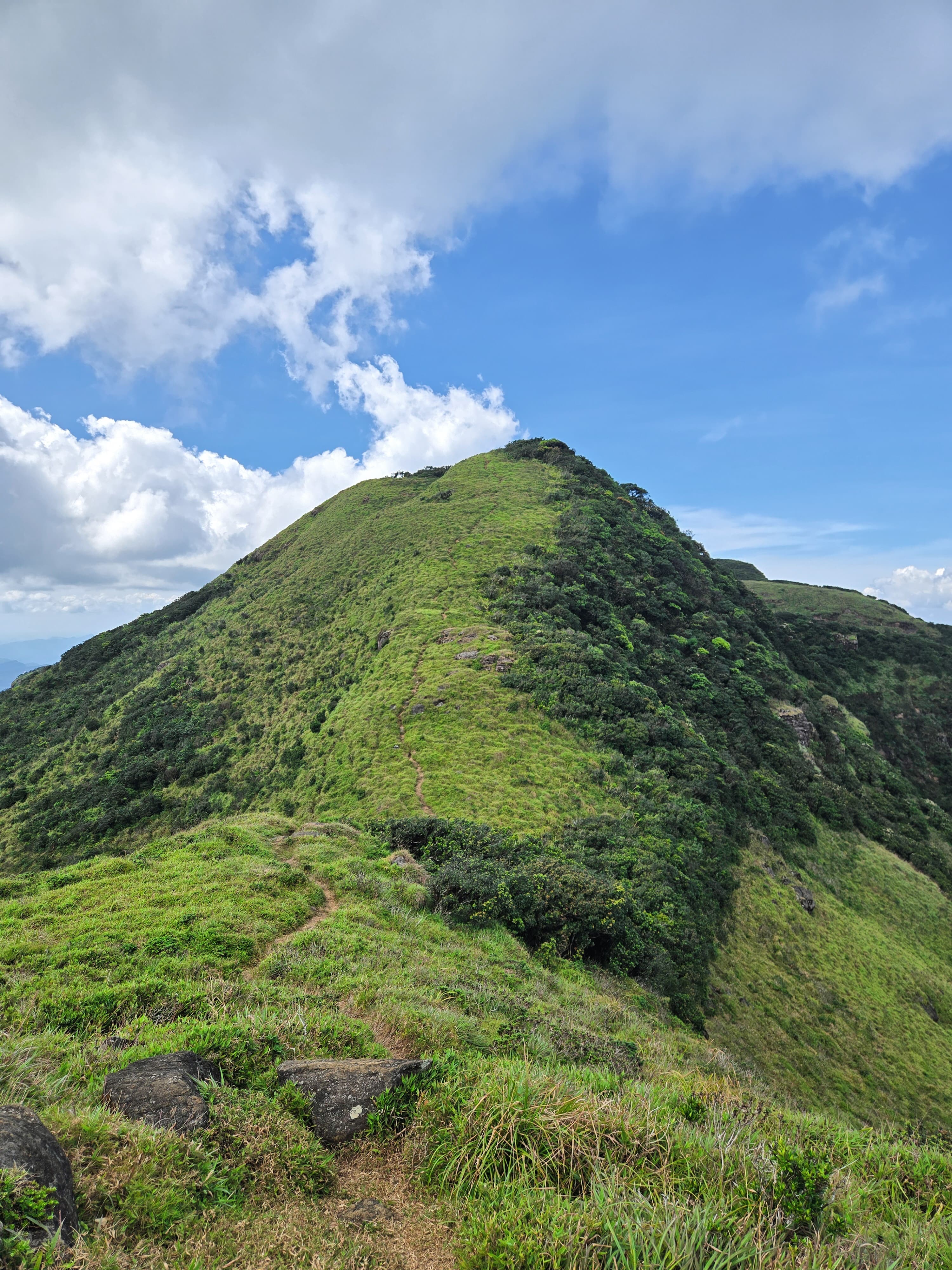 Knuckles Five Peak Mountain trail – photo 2