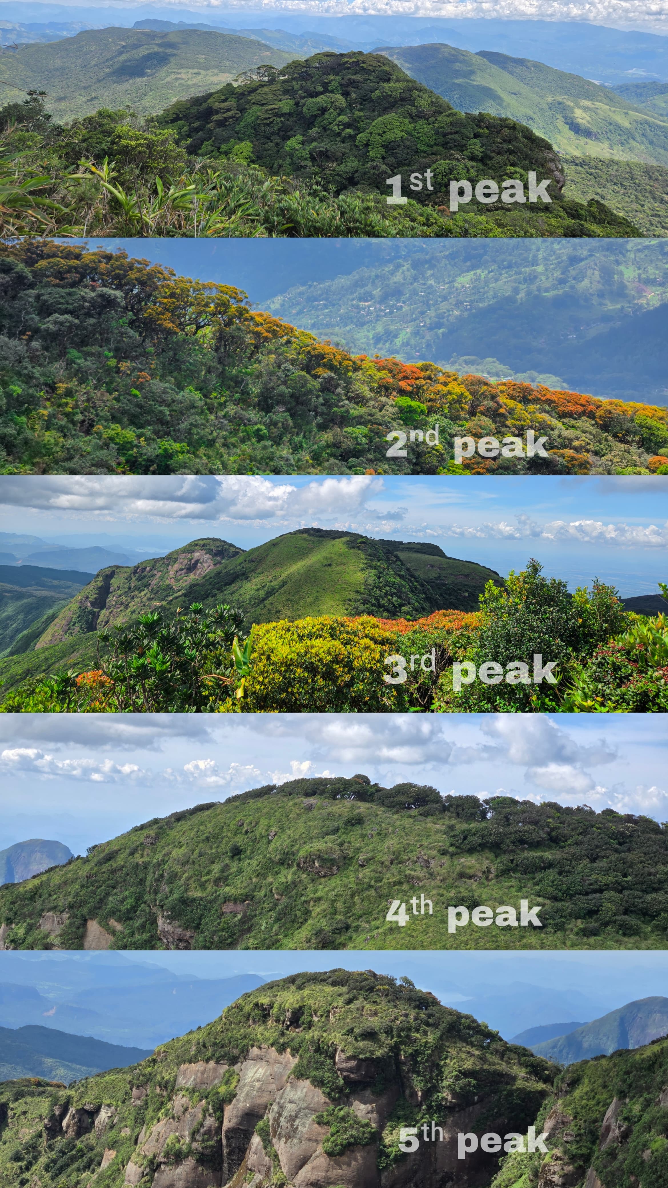 Knuckles Five Peak Mountain trail – photo 6