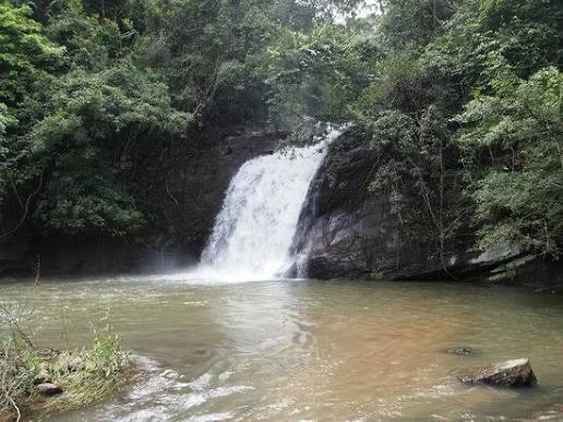 Narampanawa Traditional Village Tour – photo 2