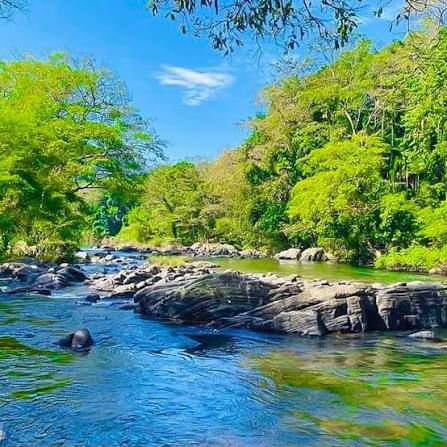 Narampanawa Traditional Village Tour – photo 6